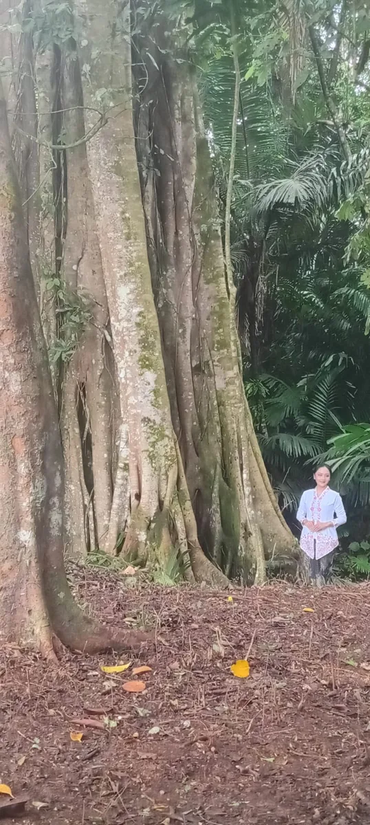 Pertanian Bangunharja